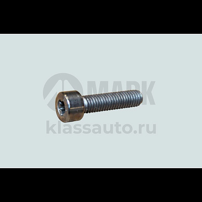 Болт с торцевой головкой М5х0,8х20 (ТНВД) (ISF3.8, ISBe) FOTON