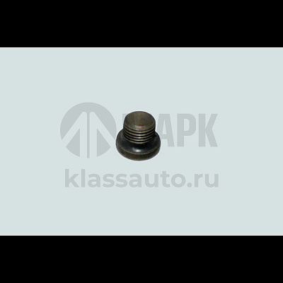 Пробка  резьбовая (заглушка ГБЦ) (M10x1,00) (L) DCEC
